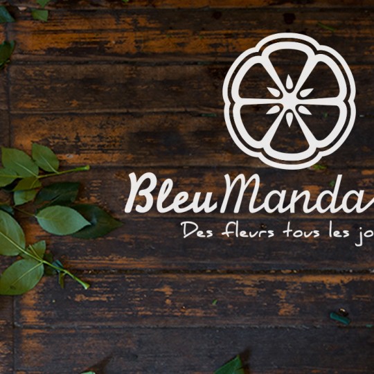 http://www.filles-de-pub.com/wp-content/uploads/2015/05/bleu-mandarine-logotype-540x540.jpg